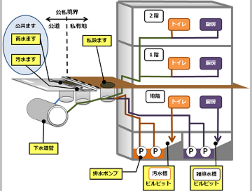 模式図.png